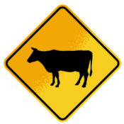 Yellow cattle crossing sign